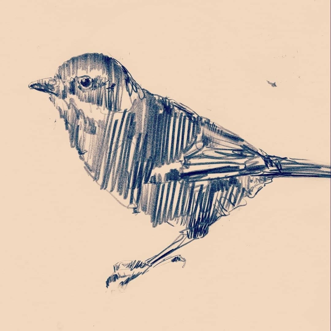 The Meadowlark