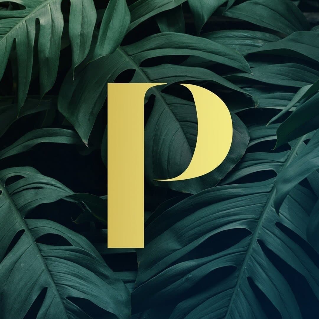 Paradiso