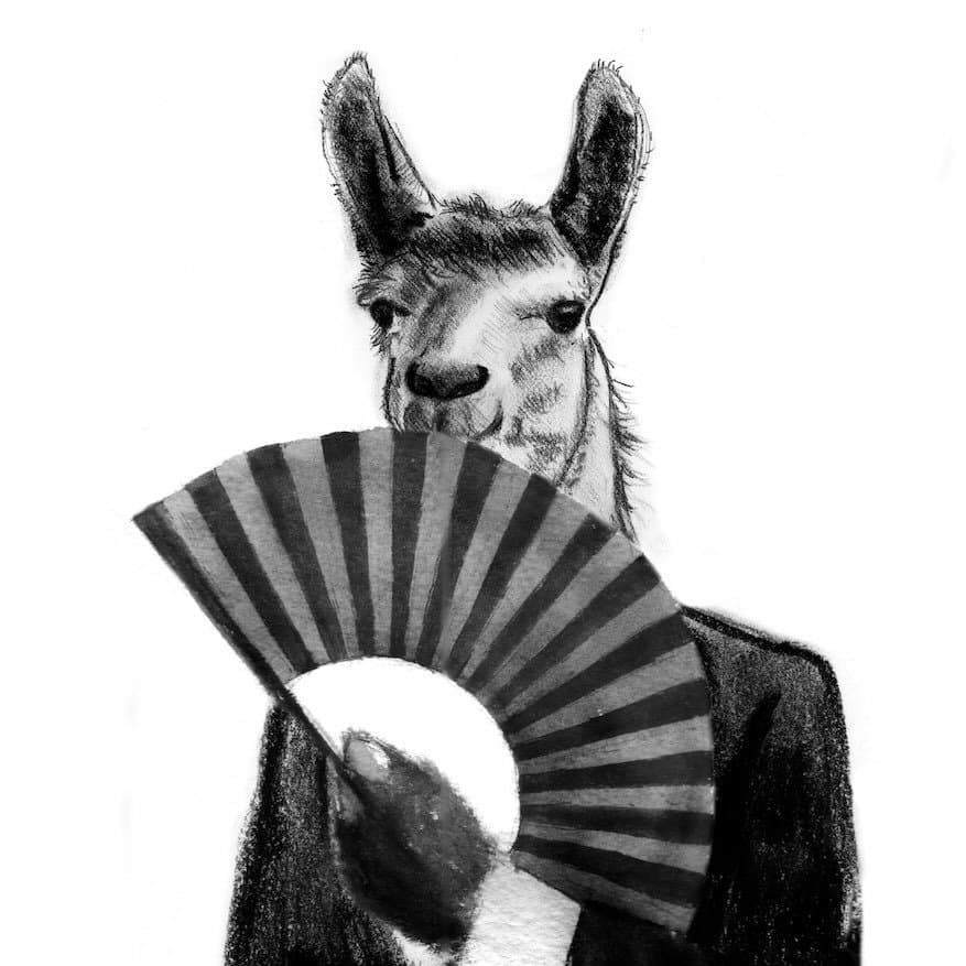 Bar Llama