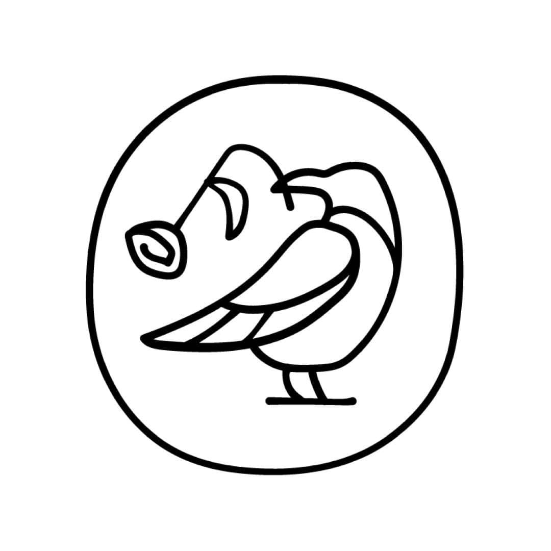 Lazy Bird