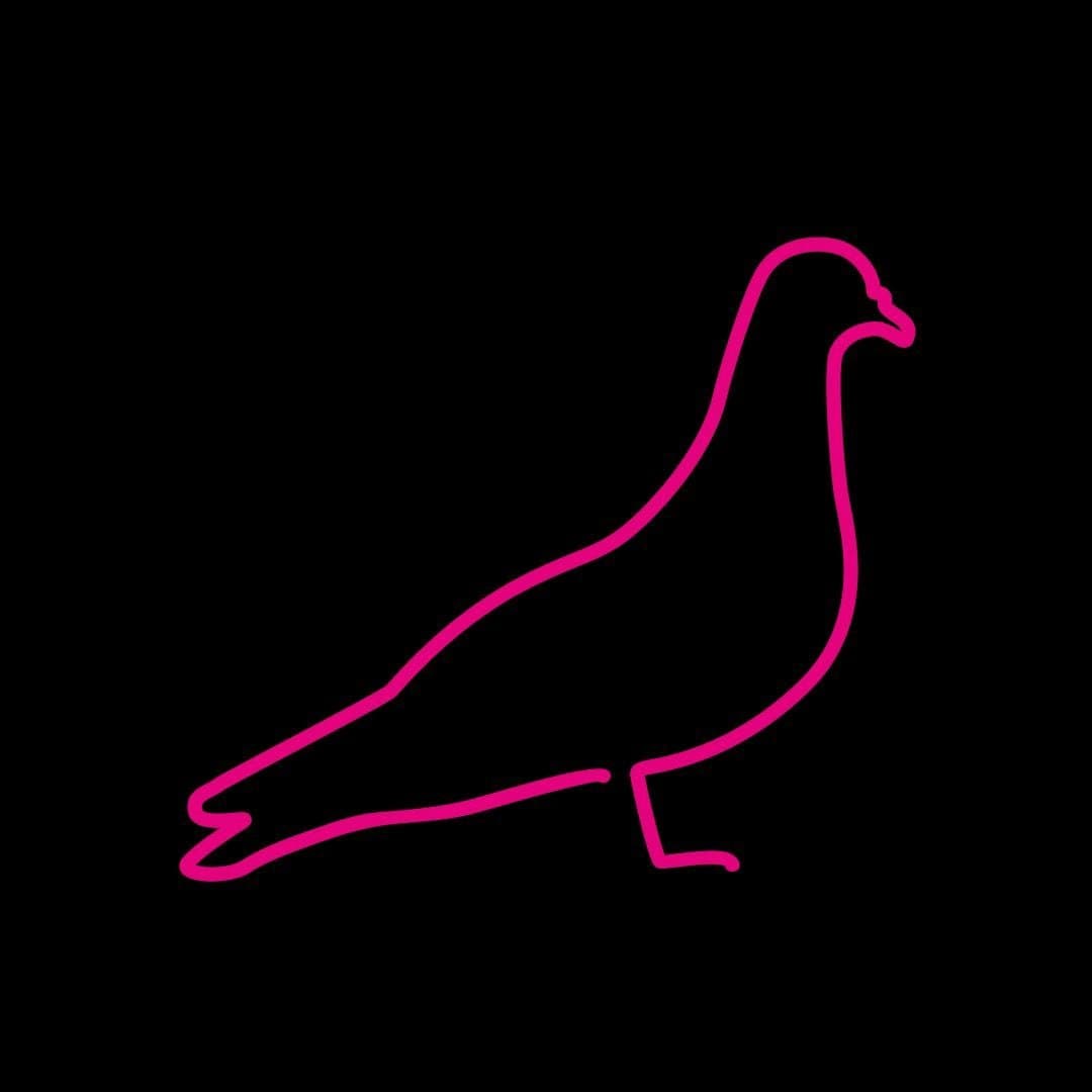 Neon Pigeon