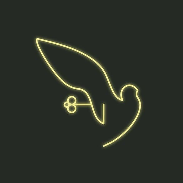 Night Hawk